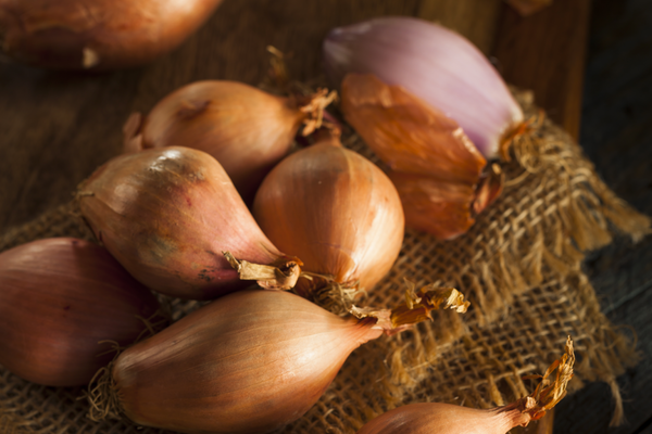 Shallot Garlic Olive Oil