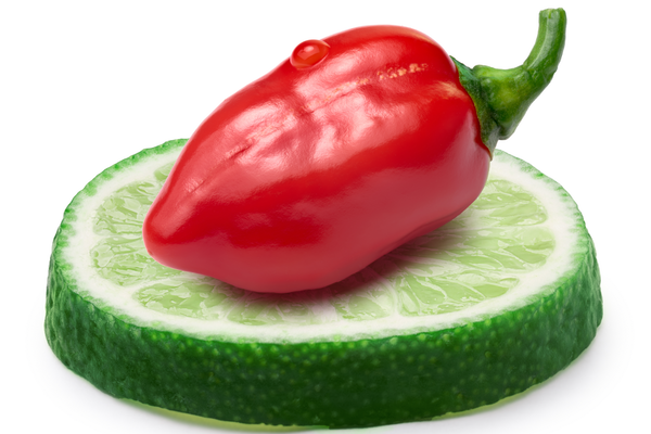 Citrus Habanero Olive Oil